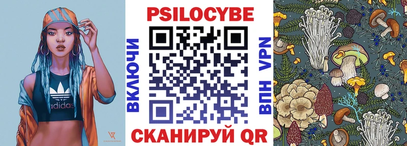 дарнет шоп  Горняк  Псилоцибиновые грибы ЛСД 